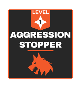 Aggression Stopper