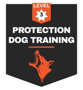 Protection Dog Training