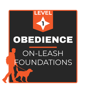 Obedience Training