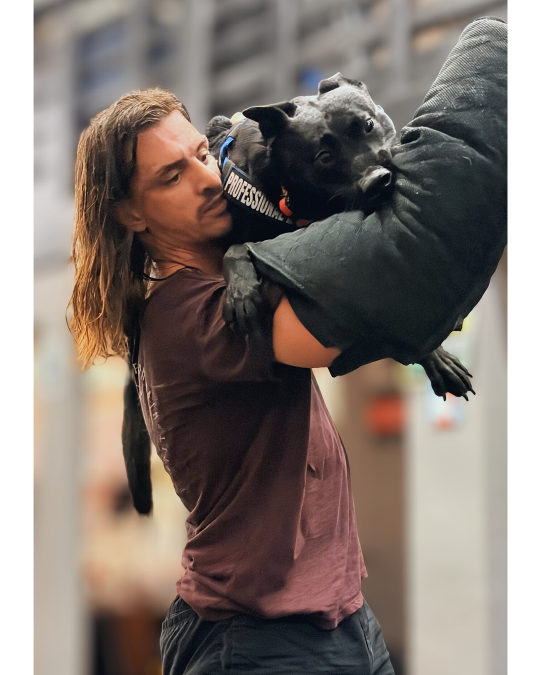 Karl and Bebe doing Protection Training