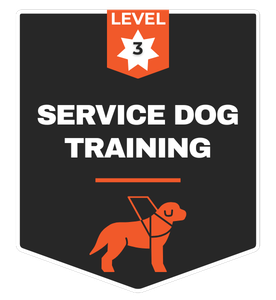 Service Dog Training