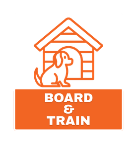 Board and Train