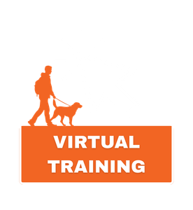 Virtual Training